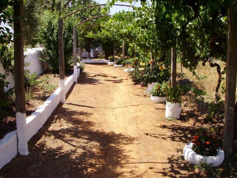 منزل الضيف Marvão  في Turimenha المظهر الخارجي الصورة
